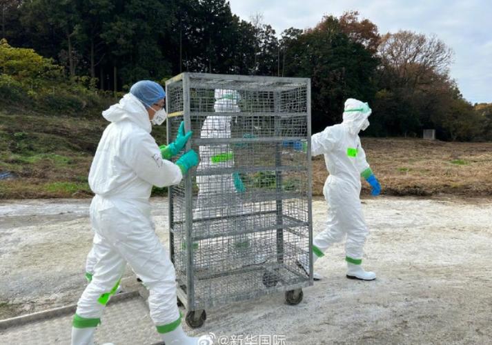 日本新冠确诊升至7411例，抗疫失误致疫情蔓延