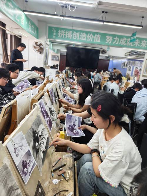 安徽长丰高考美术集训班哪家强？这几家画室实力揭秘