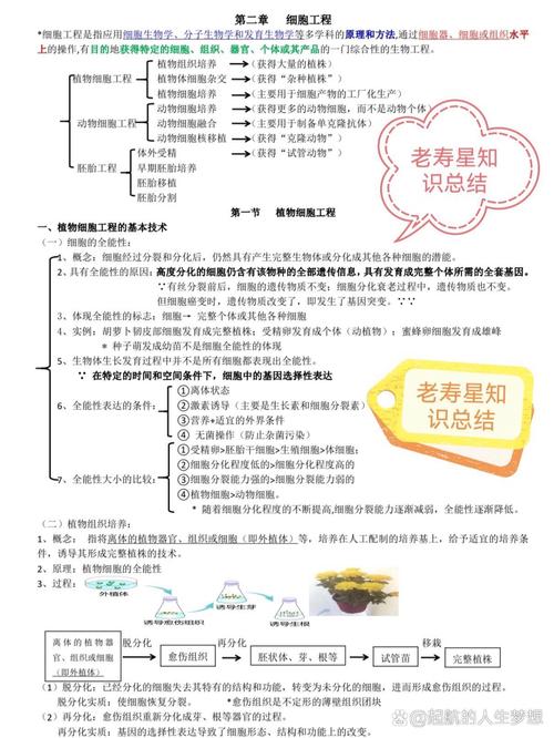 生物工程是什么意思?干什么的?一文详解其定义、范畴和技术基础